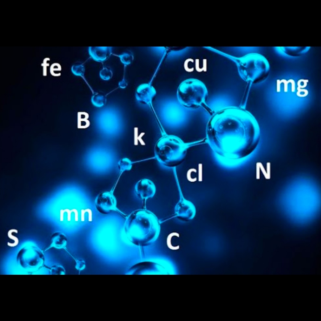 عناصر مورد نیاز گیاهان و علائم یا نشانه های کمبود عناصر در گیاهان