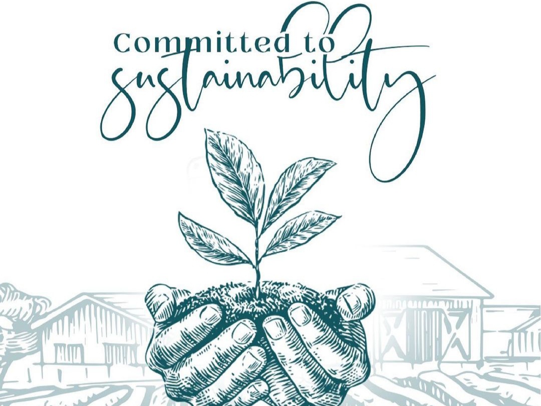 وسایل لازم برای هیدروپونیک گیاهان آپارتمانی